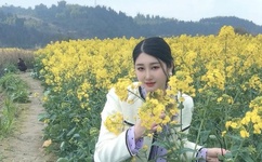 日本工口无翼乌全彩